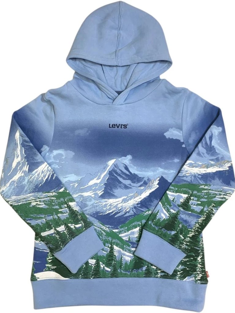 Nwt Levi's Boys Fleece Hoodie Relaxed Fit Placid Blue, Size M(8)